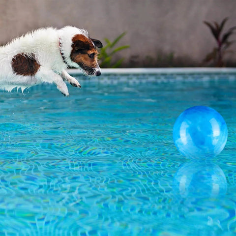 2 Pcs 8.5 Inch Large Marbleized Bouncy Balls Colorful Inflatable Balls for Adults Pet Party Supplies Beach Playground PVC(8.5 Inch,Red,Blue)