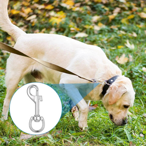 Dog walking on grass with inset showing Fifty Pack Swivel Snap Hooks For Dog Leash Heavy Duty 2.68 Inch Flag Clasp.