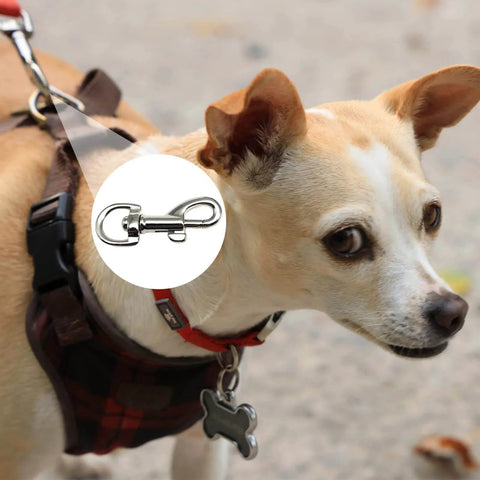 Dog wearing a leash with 12 Pcs Trigger Clips Clasp 5 Cm Zinc Alloy Swivel Eye Snap Clip Hook for Dog Leash.