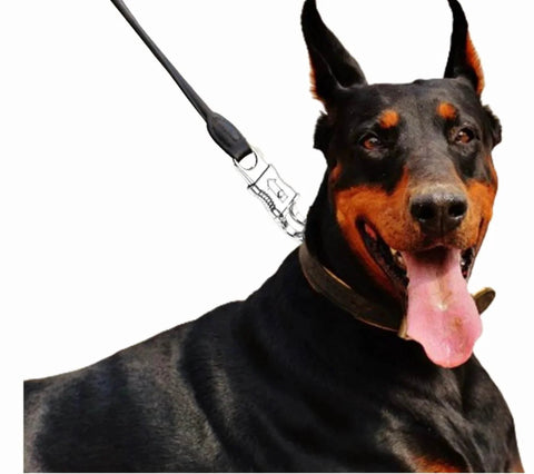10 Pack Panic Snap Quick Release Metal Snap For Paracord And Get Back Whips With One Half Inch Eye on dog leash