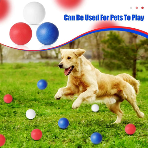 Golden retriever playing with 120 Pack Colored Table Tennis Balls 40 mm Plastic Balls Bulk for 4th of July Carnival Wedding Pool Games.