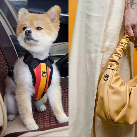 Pomeranian dog in a colorful harness sitting in a car next to a yellow ruched handbag.