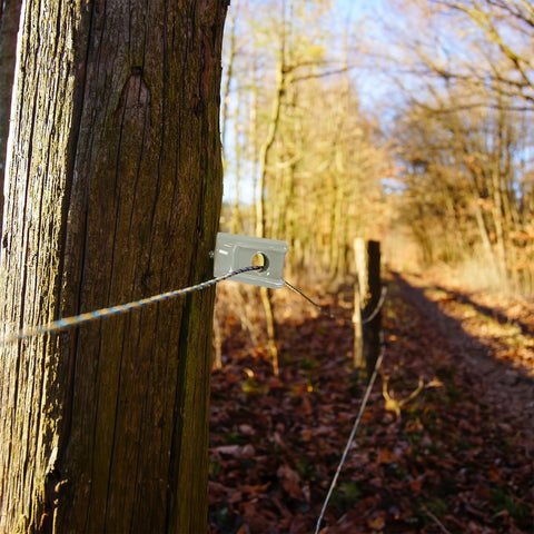 Porcelain lag screw fence insulator on wood post with electric wire