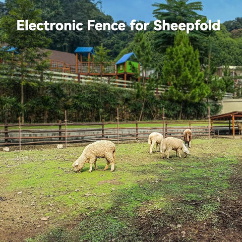 Grazing sheep inside an enclosure with electronic fencing visible, background of trees and buildings in a pastoral setting