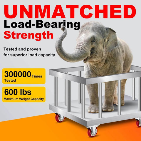 Elephant on platform showing strength of 2 Inch Heavy Duty Caster Wheels Set of 4 Swivel Castor Wheels with Dual Locking Brakes Load 600 Lbs