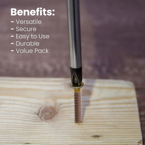 Close-up of self drilling wood to metal screws with flat Torx head for attaching wood to metal, quarter inch by twenty threads.