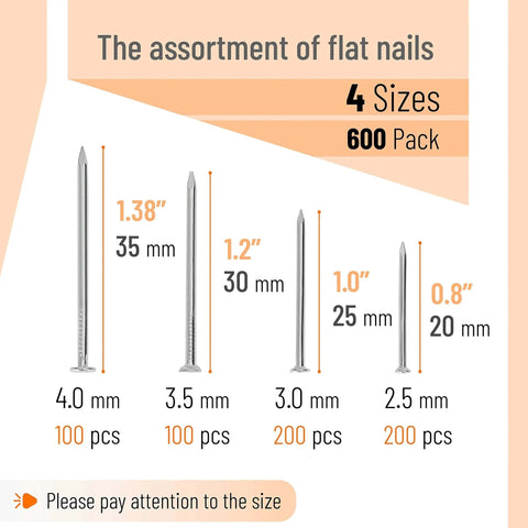 600 Piece Nail Assortment Kit Silver Nails In 4 Sizes For Hanging Pictures And Finishing Nails with measurements and quantities