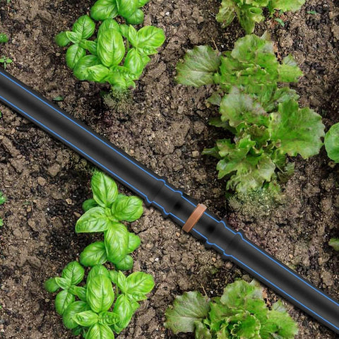 Installed 25 Pack 1/2 Inch Drip Irrigation Barbed Couplings For 0.600 Inch ID Tubing in a garden setting with plants.