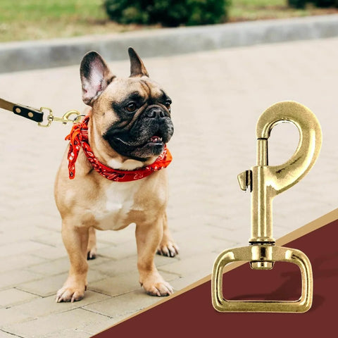 Ten Pack 1 Inch Heavy Duty Swivel Snap Hooks Eye Bolt Clips For Pet Leashes And Bags And Harnesses Gold Tone Three And A Quarter Inch Long Swivel Clasps 360 Degree Rotating Prevent Tangling Rust Resistant Iron Alloy with a dog on a leash