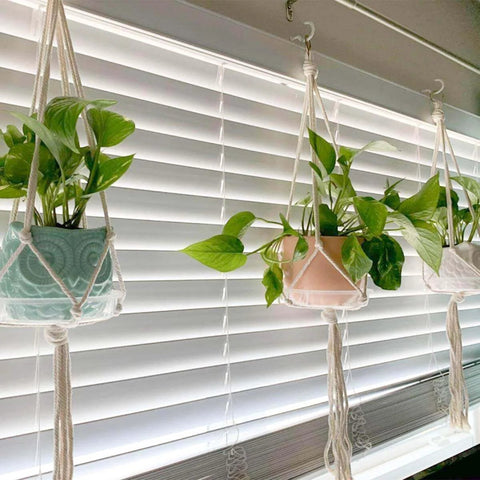 Three hanging planters with green plants in pastel pots in front of white blinds