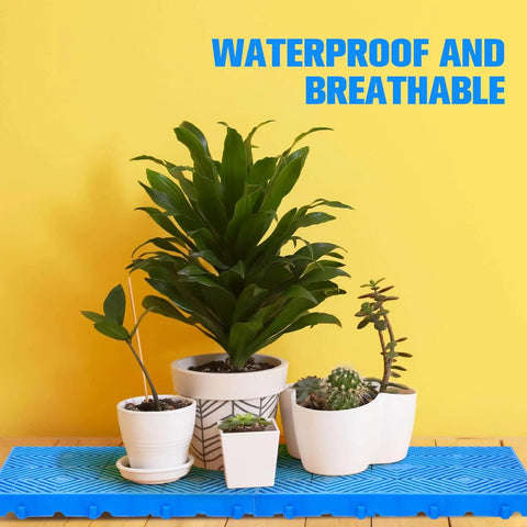 Six Pack Plastic Pallets For Basement Storage HDPE Waterproof Grid Ventilation Floor Pallets with plants on top.
