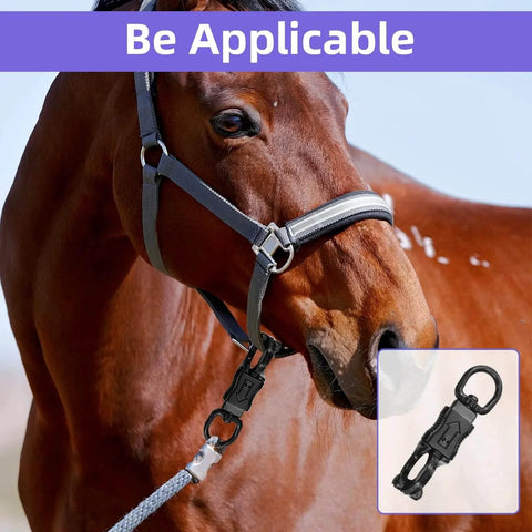 Horse wearing lead with set of five nickel plated 360 degree rotating quick release clips for outdoor gear heavy duty metal snaps