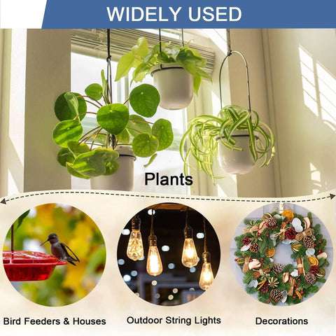 Hanging plants near window with bird feeders, outdoor string lights, and holiday decorations, showcasing diverse home decor uses.