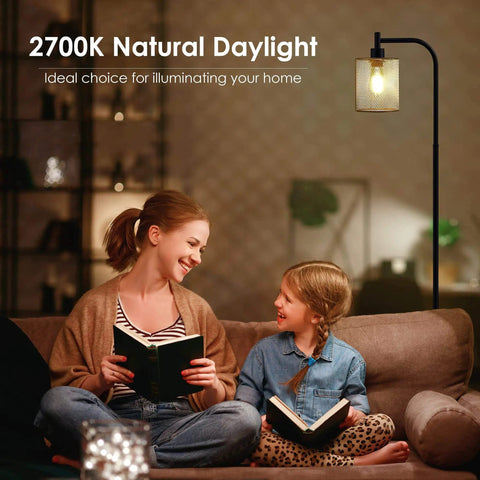 Industrial Floor Lamp With Hanging Iron Mesh Shade And Foot Switch, 6W LED Bulb, All Metal Farmhouse Standing Lamp, Rustic Black Lighting in living room.