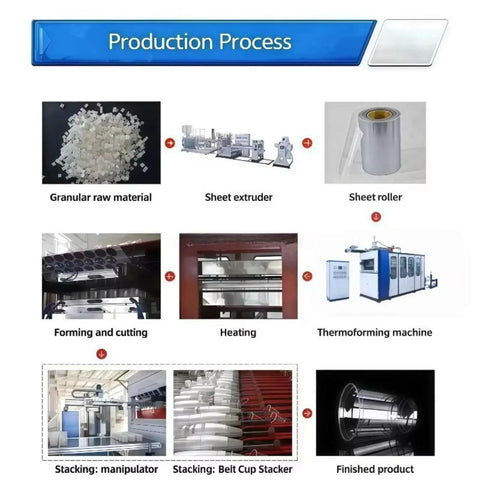 Production process overview of Industrial Automatic Thermoforming Machine For Disposable Plastic Cups With Square Steel Frame Pro Grade