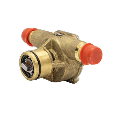 Johnson Pump 10-24967-02 F4B-9 Impeller Pump brass close-up with red caps, showing impeller housing design and fittings