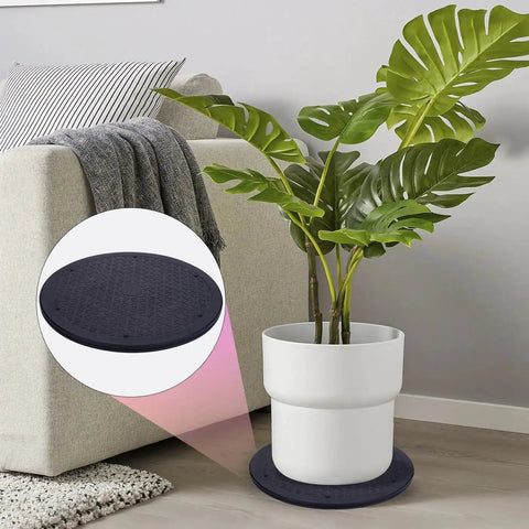 Plant on white pot using 2 Pack 12 Inch Lazy Susan Turntable Organizer With Heavy Duty Rotating Swivel Stand And Steel Ball Bearings