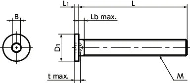 M10 SSHS-M10-10 NBK 10mm Socket Head Cap Screws, Special Low Profile - Pack of 10 - VXB Ball Bearings