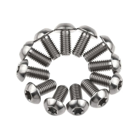 12 Pcs M5x10 Titanium Torx Bolts for Bicycle Disc Brake Rotors arranged in circle, showcasing T25 Torx head and natural titanium finish.