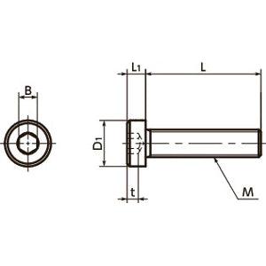 Made in Japan SLHL-M3-10 NBK Socket Head Cap Screws with Low Profile Pack of 20 - VXB Ball Bearings