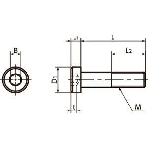 Made in Japan SLHS-M2-5 NBK Socket Head Cap Screws with Low Profile Pack of 50 - VXB Ball Bearings