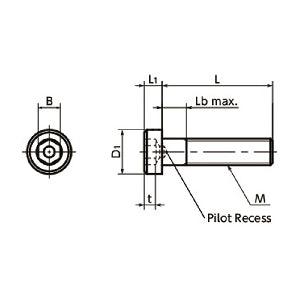 Made in Japan SLP-M4-8 NBK Socket Head Cap Screws with Low Profile with Pilot Recess Pack of 20 - VXB Ball Bearings