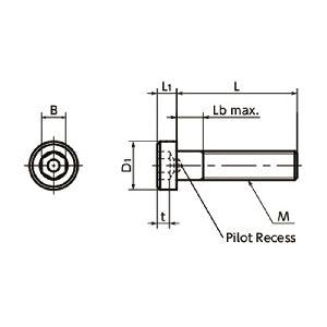 Made in Japan SLP-M5-10 NBK Socket Head Cap Screws with Low Profile with Pilot Recess Pack of 20 - VXB Ball Bearings
