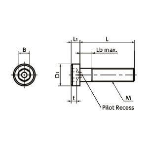 Made in Japan SLP-M6-16 NBK Socket Head Cap Screws - Low Profile - Pilot Recess Pack of 20