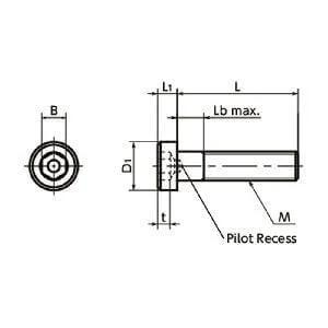 Made in Japan SLP-M8-16 NBK Socket Head Cap Screws - Low Profile - Pilot Recess Pack of 20