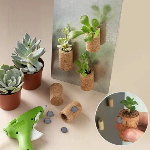 Magnetic cork planters with succulents using 90 Magnetic Adhesive Dots Ceramic Magnets 0.7 Inch With Sticky Backing