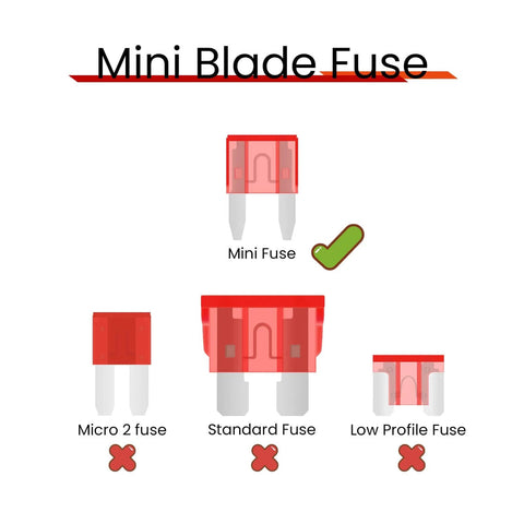 Comparison of fuse types with focus on Pack Of 25 10 Amp Mini Blade Fuses For Cars RVs Trucks SUVs Motorcycles And Boats High Conductivity Zinc Terminals Quick Blow Protection Beefed Up Auto Fuses For Smooth Power 12V 24V Systems Up To 32V