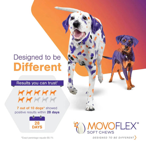 Vet Formulated Movoflex Dog Joint Support Chews For Small Breeds Up To 40 Lbs Hip And Joint Supplement product advertisement image