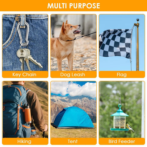 Collage showcasing 2 Inch Carabiner Clips Set 12 Pack 304 Stainless Steel With Spring Snap Hook used for different purposes, like keychains and dog leashes.