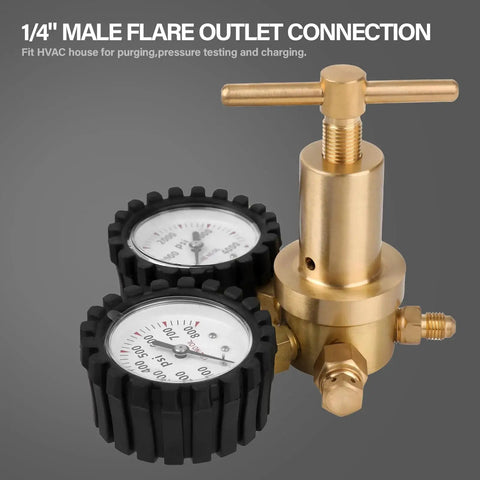 Pro Nitrogen Regulator With 0 To 800 PSI Delivery Pressure, 60 Inch Hose, CGA580 Inlet Connection And Quarter Inch Male Flare Outlet