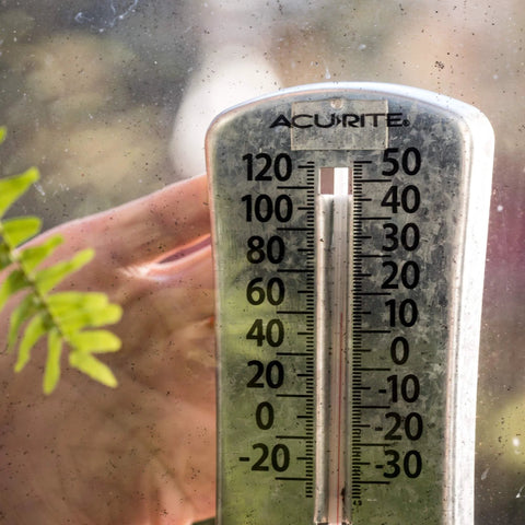 Close-up of an outdoor thermometer displaying temperatures in Fahrenheit and Celsius next to a green plant leaf.