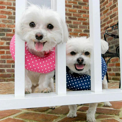 Pink Dot Size 10-13 Based On Neck Size Dog Bumper Made In USA 100 Percent Cotton Stuffed Safety Fence Collar on small dogs