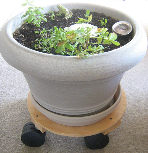 Broad Brimmed Top Hat Caster Socket For Seven Sixteenth Inch Caster Stem Set Of Four For Piano Furniture And Cabinets Fits Grip Ring Stems Up To One And Half Inches Long Easy To Install And Durable Replacement Part under a plant pot