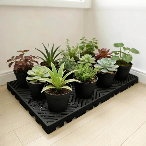 Plastic Pallet Safety Storage Nestable Grid Pads Two Pack HDPE Non Slip Platform with plants on it.