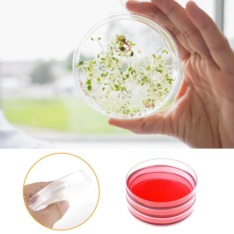 Person holding plastic petri dish with plant sprouts next to image of red liquid-filled dishes and a closed dish with logo detail.