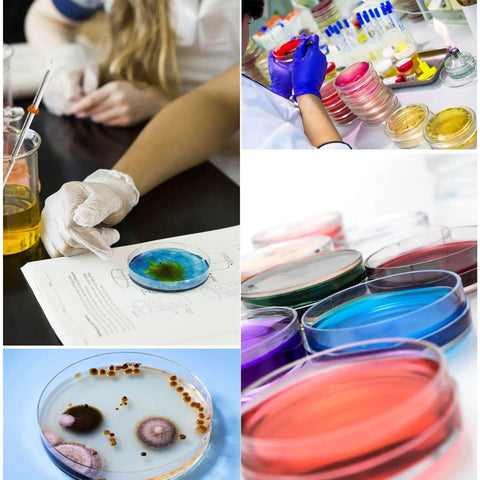 Collage of scientists using 30 Pack Plastic Petri Dishes With Lids 90mm Diameter 15mm Deep Sterile Culture Dishes for experiments.