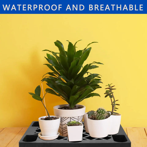 Heavy Duty Plastic Pallets For Basement Storage Waterproof HDPE Grids with potted plants on top, 25 by 28.7 by 5.7 inches