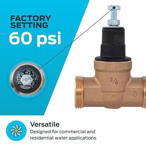 Pressure Regulating Valve For Water Systems Three Quarter Inch NPT Threaded With Poly Top 60 PSI Adjustable Direct Pressure Regulation