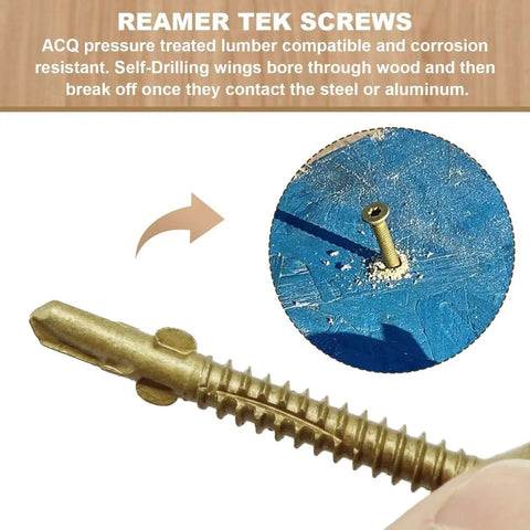 Number Ten By One And Five Eighth Inch Reamer Tek Torx Star Head Self Drilling Screws For Wood To Metal Fastening close-up