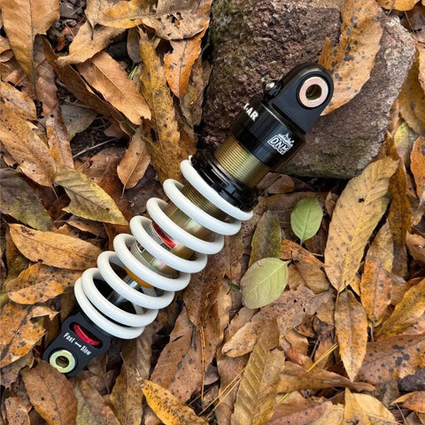 Rear Shock for Dirty Pit Bike with Adjustable Rebound and Dual Spring Options on leaves, visible spring and damper