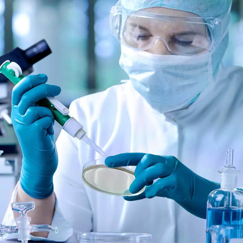 Scientist using Ready To Use Prepoured Nutrient Agar Plates In 2.75 Inch Petri Dishes For Microbiology Labs And STEM Class Experiments