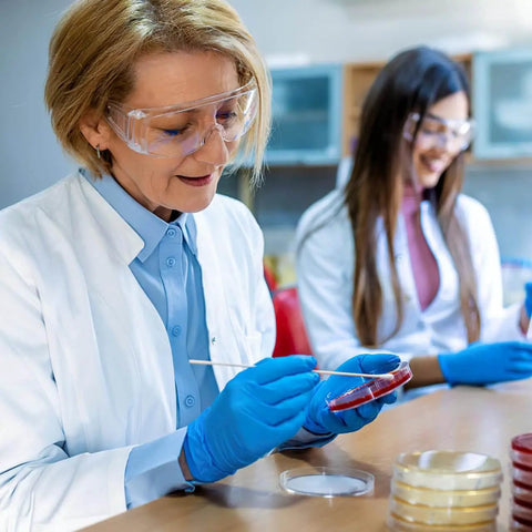 Scientists using Ready To Use Prepoured Nutrient Agar Plates In 2.75 Inch Petri Dishes For Microbiology Labs And STEM Class Experiments.