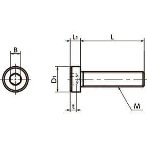SLH-M6-12-SD NBK Socket Head Cap Screws - Low & Small Head- Pack of 10-Made in Japan
