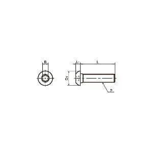 SNBS-#4-40-3/16 NBK Hex Socket Head Cap Screws - Inch Thread- Pack of 10. Made in Japan