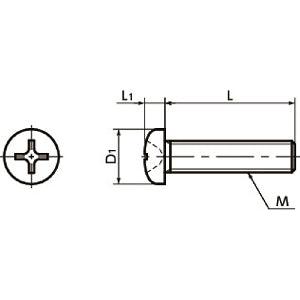 SNPT-M2-6 NBK Cross Recessed Pan Head Machine Screws - Titanium- Made in Japan - VXB Ball Bearings