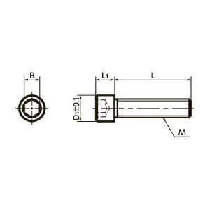 SNS-M6-20-EL NBK Socket Head Cap Screws Electroless Nickel Plating - Pack of 10. Made in Japan